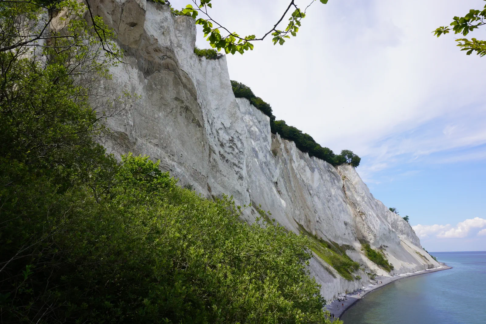 Die Kreidefelsen von Møns Klint auf der Insel Møn.