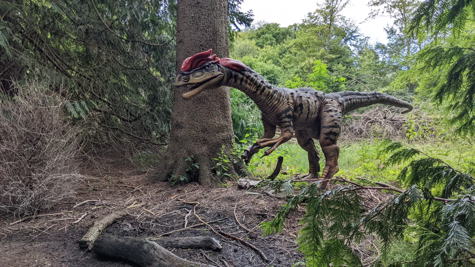 Dinosaurier im Dinosaur Skoven im Knuthenborg Safaripark.
