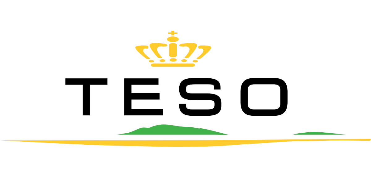 TESO Logo